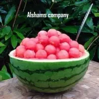 Egyptian Fresh Watermelon With Best Quality