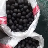 Egyptian Dried Lemon With High Quality