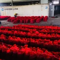 Fresh Red Onions With High Quality