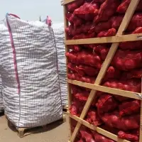 Fresh Red Onions With High Quality