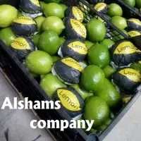 Fresh Lemon With High Quality