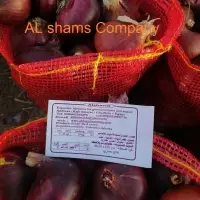 Fresh Red Onions