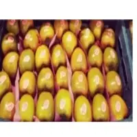 Fresh Persimmon With High Quality