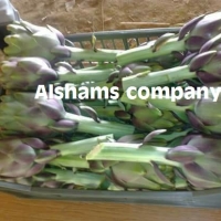 Fresh Artichoke With High Quality