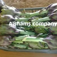 Fresh Artichoke With High Quality