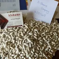 White Beans