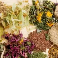 Herbs