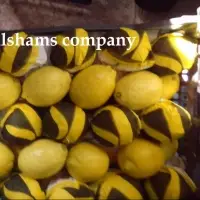 Fresh Lemon