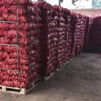 Fresh Potatoes