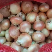 Onions