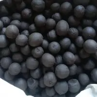 Yellow And Black Dried Lemon