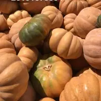 Fresh Pumpkin