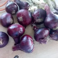 Red Onions