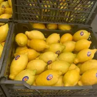 Fresh Lemon