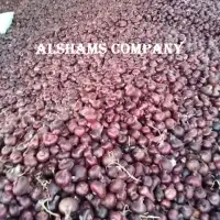 Red onions  