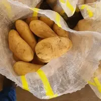 Potatoes  