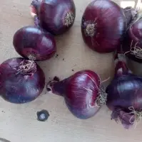 Red Onions