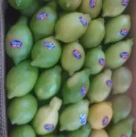 Fresh Lemon