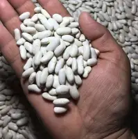 White Beans