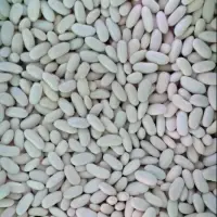 White Beans