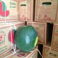 Egyptian Watermelon