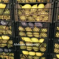 Fresh Lemon