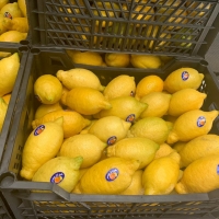 Fresh Lemon