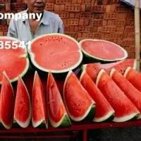 Fresh Watermelon With High Quality
