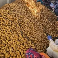 Potatoes 