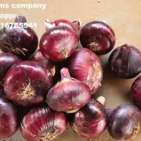 Fresh Onions