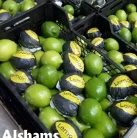 Fresh Lemon