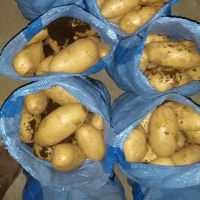 Egyptian Potatoes