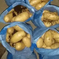 Egyptian Potatoes