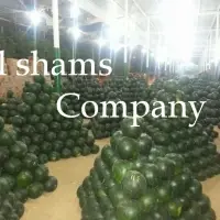 Fresh Watermelon With High Quality