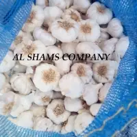 Garlic With High Quality