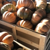 Pumpkin With High Quality