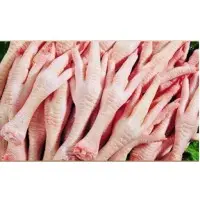 Chicken Feet or Paws