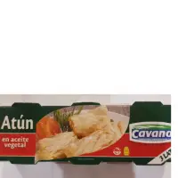 Canned Tuna In Oil