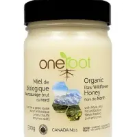Organic Raw Wildflower Honey