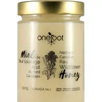 Raw Wildflower Honey