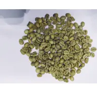 Green Coffee Bean