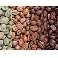 Coffee Bean