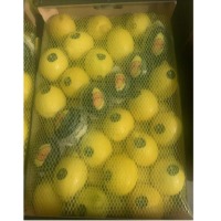 Fresh Lemon