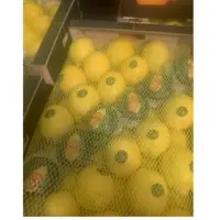 Fresh Lemon