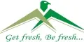 Am Export logo