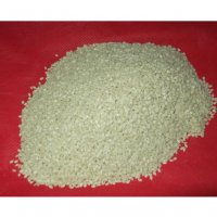 Sesame Seeds