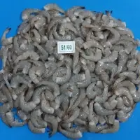 Frozen Vannamei Shrimps Hlso