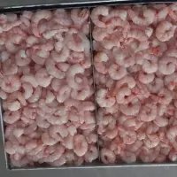Frozen Pud Blanched