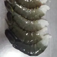 Frozen Black Tiger Shrimps