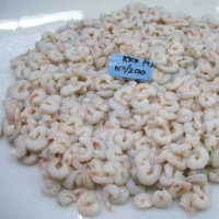 Frozen Pud Karikkadi Shrimps